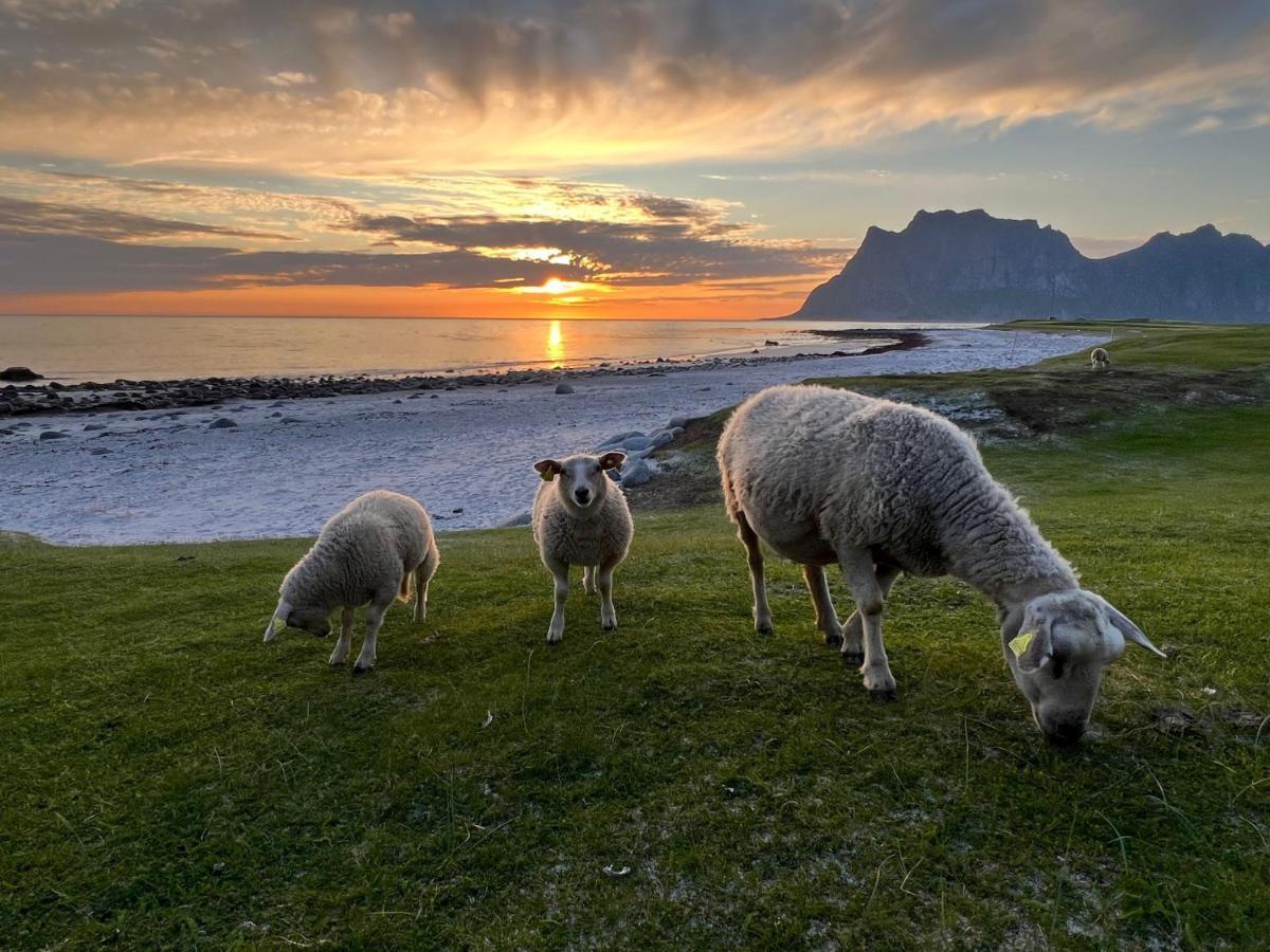 Real Fisherman'S Cabins In Ballstad, Lofoten Extérieur photo